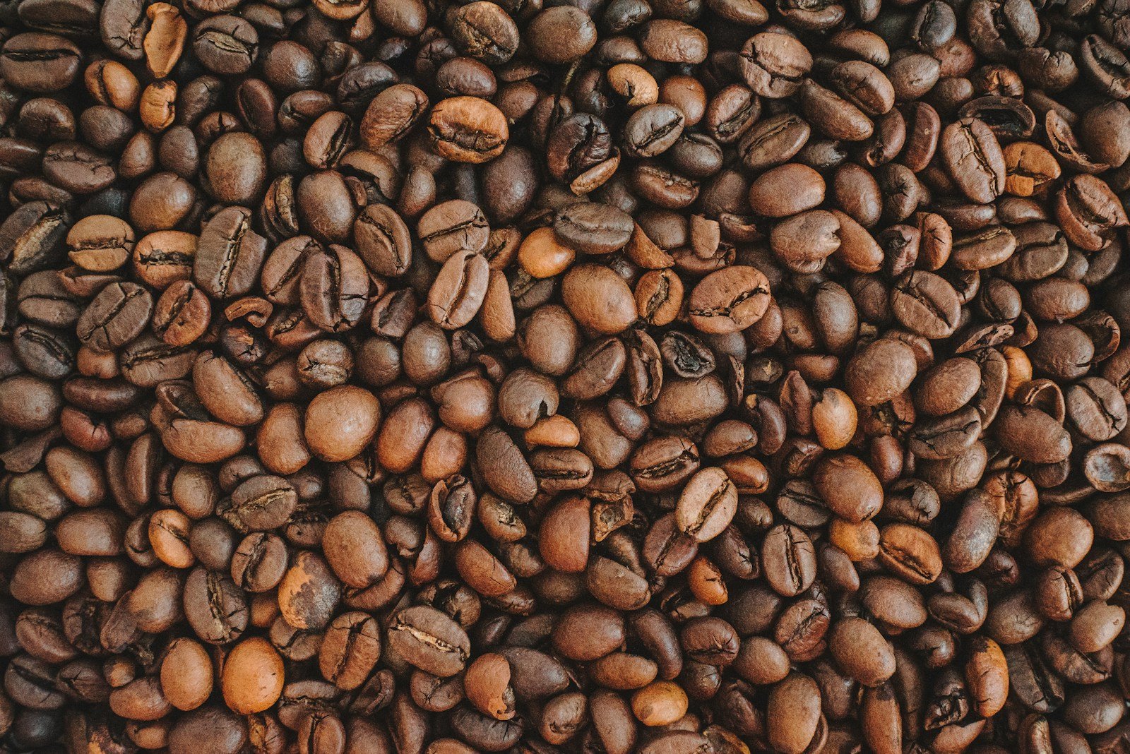 محمص الناصرة